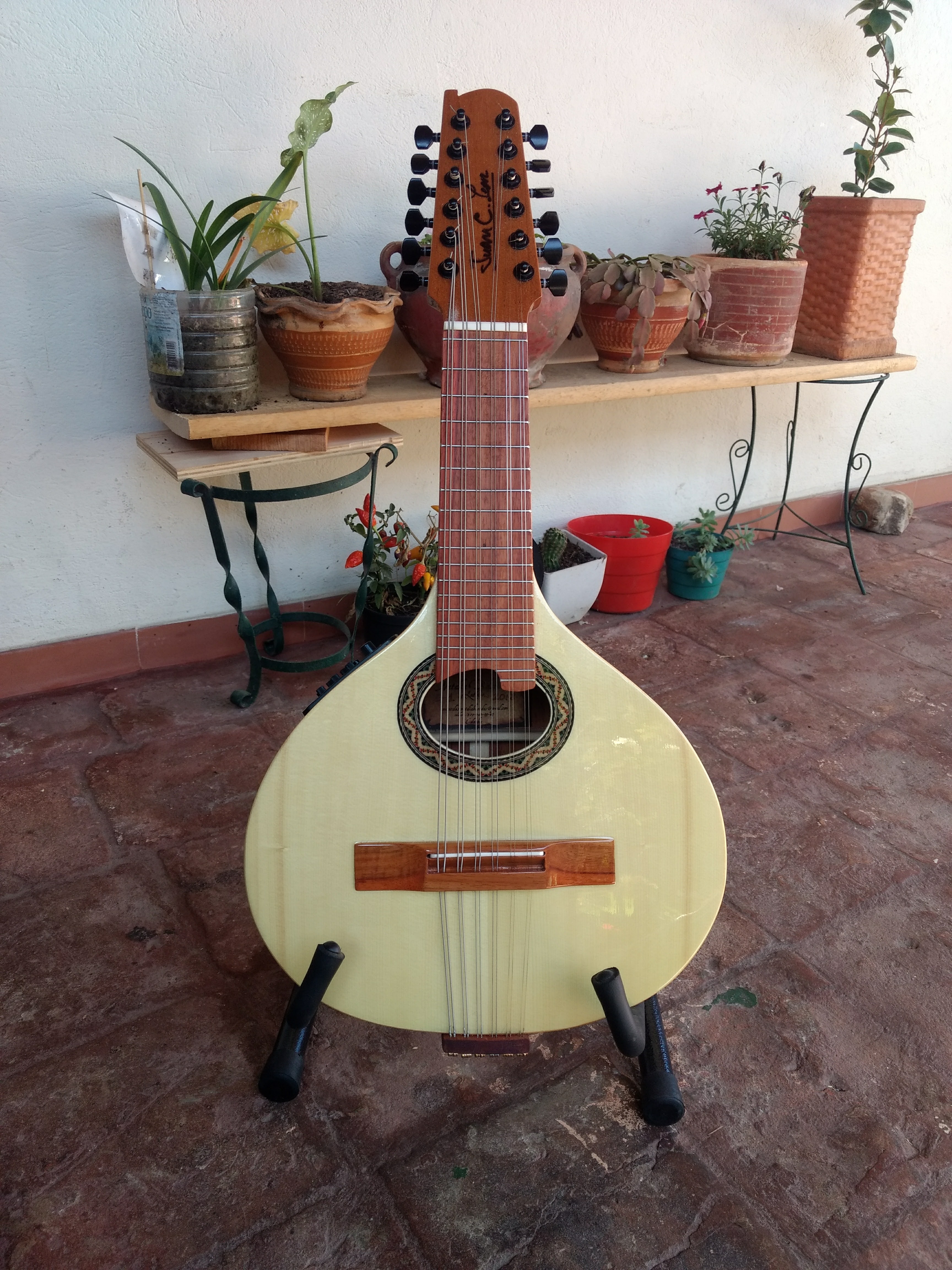 Bandola andina colombiana